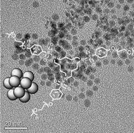 Graphical abstract: Water-soluble metal nanoparticles with PEG-tagged 15-membered azamacrocycles as stabilizers