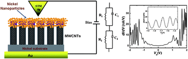 Graphical abstract: Fabrication of vertically aligned carbon nanotubes for spintronic device applications