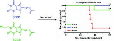 Graphical abstract: A theobromine derived silver N-heterocyclic carbene: synthesis, characterization, and antimicrobial efficacy studies on cystic fibrosis relevant pathogens