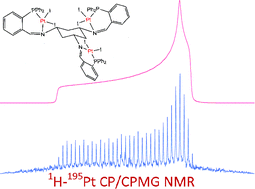 Graphical abstract: Synthesis and solid-state characterization of platinum complexes with hexadentate amino- and iminophosphine ligands