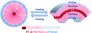 Graphical abstract: Synthesis, thermomorphic characteristics, and fluorescent properties of poly[2,7-(9,9-dihexylfluorene)]-block-poly(N-isopropylacrylamide)-block-poly(N-hydroxyethylacrylamide) rod-coil-coil triblock copolymers