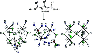 Graphical abstract: Structural and magnetic variability of cobalt(II) complexes with bridging pyrazolate ligands bearing appended imine groups