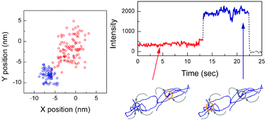 Graphical abstract: Mapping the emitting sites within a single conjugated polymer molecule