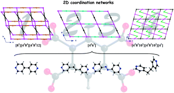 Graphical abstract: Novel cobalt(II) coordination polymers based on 1,2,4,5-benzenetetracarboxylic acid and extended bis-monodentate ligands