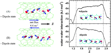 Graphical abstract: Concerted orientation induced unidirectional water transport through nanochannels