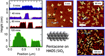 Graphical abstract: Post-deposition reorganization of pentacene films deposited on low-energy surfaces