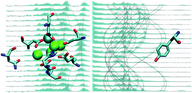 Graphical abstract: Electronic structure of the tyrosine D radical and the water-splitting complex from pulsed ENDOR spectroscopy on photosystem II single crystals