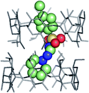 Graphical abstract: Similar modes of inclusion in complexes of β-cyclodextrin with sulfonylurea hypoglycemic drugs