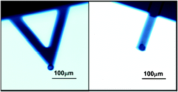 Graphical abstract: Measurement of no-slip and slip boundary conditions in confined Newtonian fluids using atomic force microscopy