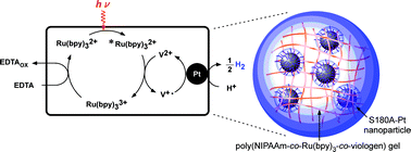 Graphical abstract: Hydrogen generating gel systems induced by visible light