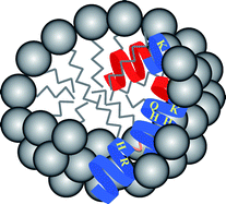 Graphical abstract: Aggregation structure of Alzheimer amyloid-β(1–40) peptide with sodium dodecyl sulfate as revealed by small-angle X-ray and neutron scattering