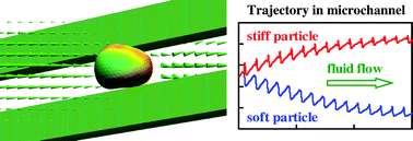 Graphical abstract: Designing microfluidic channel that separates elastic particles upon stiffness