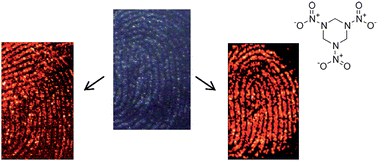 Graphical abstract: Infrared spectroscopic imaging of latent fingerprints and associated forensic evidence