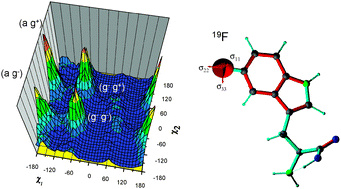 Graphical abstract: Calculation of fluorine chemical shift tensors for the interpretation of oriented 19F-NMR spectra of gramicidin A in membranes