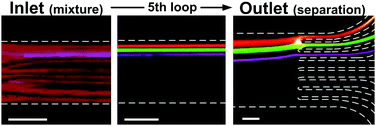 Graphical abstract: Inertial microfluidics for continuous particle separation in spiral microchannels