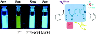 Graphical abstract: Fluoride recognition by a chiral urea receptor linked to a phthalimide chromophore