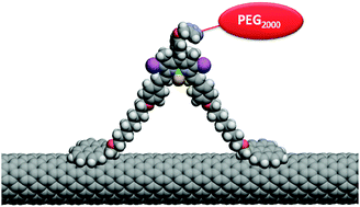 Graphical abstract: Non-covalent functionalized SWNTs as delivery agents for novel Bodipy-based potential PDT sensitizers