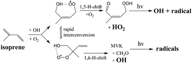 Graphical abstract: HOx radical regeneration in the oxidation of isoprene