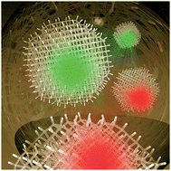 Graphical abstract: Diamond standard in diagnostics: nanodiamond biolabels make their mark