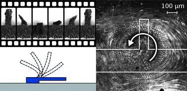 Graphical abstract: Micro-fluidic actuation using magnetic artificial cilia