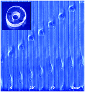 Graphical abstract: Spontaneous migration of cancer cells under conditions of mechanical confinement