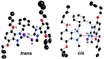 Graphical abstract: Palladium complexes of o-xylyl-linked alkoxybenzimidazolin-2-ylidenes: interesting structural conformations and application as pre-catalysts