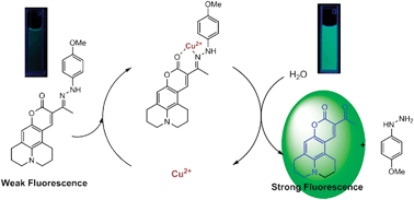 Graphical abstract: Coumarin-derivative-based off–on catalytic chemodosimeter for Cu2+ ions