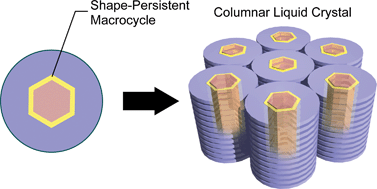 Graphical abstract: A columnar liquid-crystalline shape-persistent macrocycle having a nanosegregated structure