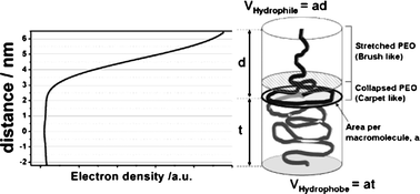 Graphical abstract: Polymersomes hydrophilic brush scaling relations