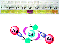 Graphical abstract: Triazole-ester modified silver nanoparticles: click synthesis and Cd2+ colorimetric sensing