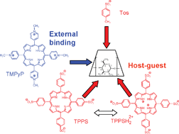 Graphical abstract: Cyclodextrin carriers of positively charged porphyrin sensitizers