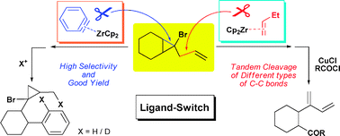 Graphical abstract: Zirconocene-mediated ligand-switched selective cleavage of active and inert carbon–carbon bonds in allylcyclopropanes