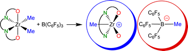 Graphical abstract: Activation of a bis(phenoxy-amine) precatalyst for olefin polymerisation: first evidence for an outer sphere ion pair with the methylborate counterion