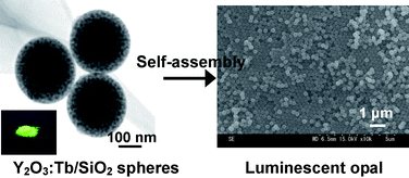 Graphical abstract: A novel route to luminescent opals for controlling spontaneous emission