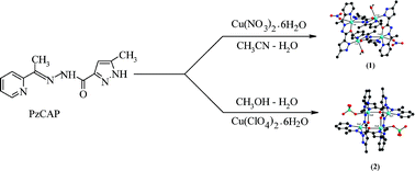 Graphical abstract: Ferro- and anti-ferromagnetically coupled tetracopper(II) 2 × 2 homoleptic rectangular grids supported by both μ-O and μ-(N-N) bridges derived from a new pyrazole based polydentate Schiff base ligand–magneto-structural correlations and DFT calculation