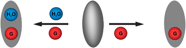 Graphical abstract: Water co-encapsulation in an inverted molecular capsule