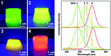 Graphical abstract: Strongly fluorescent hydrogels with quantum dots embedded in cellulose matrices