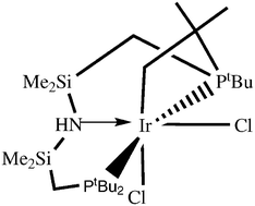 Graphical abstract: Surprising isomer preference on IrIII, favoring facile H–C(sp3) bond cleavage