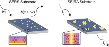 Graphical abstract: Nanoshell-based substrates for surface enhanced spectroscopic detection of biomolecules