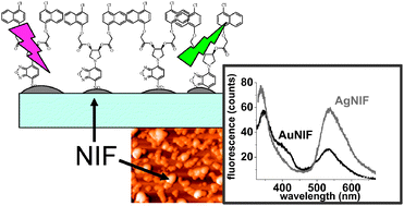 Graphical abstract: Förster resonance energy transfer (FRET) with a donor–acceptor system adsorbed on silver or gold nanoisland films