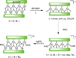 Graphical abstract: Interconversion between ladder-type octanuclear and linear tetranuclear copper(i) complexes supported by tetraphosphine ligands