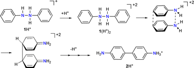 Graphical abstract: π Complexes in benzidine rearrangement