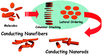 Graphical abstract: Conducting supramolecular nanofibers and nanorods