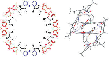 Graphical abstract: Macrocyclic oligoureas with xanthene and diphenyl ether units