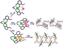 Graphical abstract: Crystal engineering of hybrid inorganic–organic systems based upon complexes with dissymmetric compartmental ligands