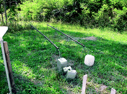 Graphical abstract: Assessment of the optimal time interval for repeated soil surveys at intensively monitored forest plots
