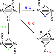 Graphical abstract: Synthesis of the triply-bonded dimolybdenum anions [Mo2(η5-C5H5)2(μ-PA2)(μ-CO)2]− (A = Cy, Et, Ph, OEt): unsaturated hydride and carbyne derivatives