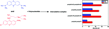 Graphical abstract: DNA intercalation of methylene blue and quinacrine: new insights into base and sequence specificity from structural and thermodynamic studies with polynucleotides