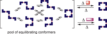 Graphical abstract: Molecular playdough: conformationally programmable molecular receptors based on restricted rotation