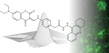 Graphical abstract: A gorge-spanning, high-affinity cholinesterase inhibitor to explore β-amyloid plaques